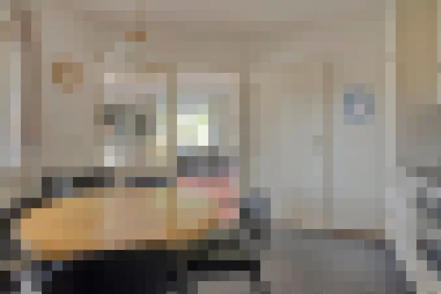 Strodijk 1 Vorden thumbnail 14