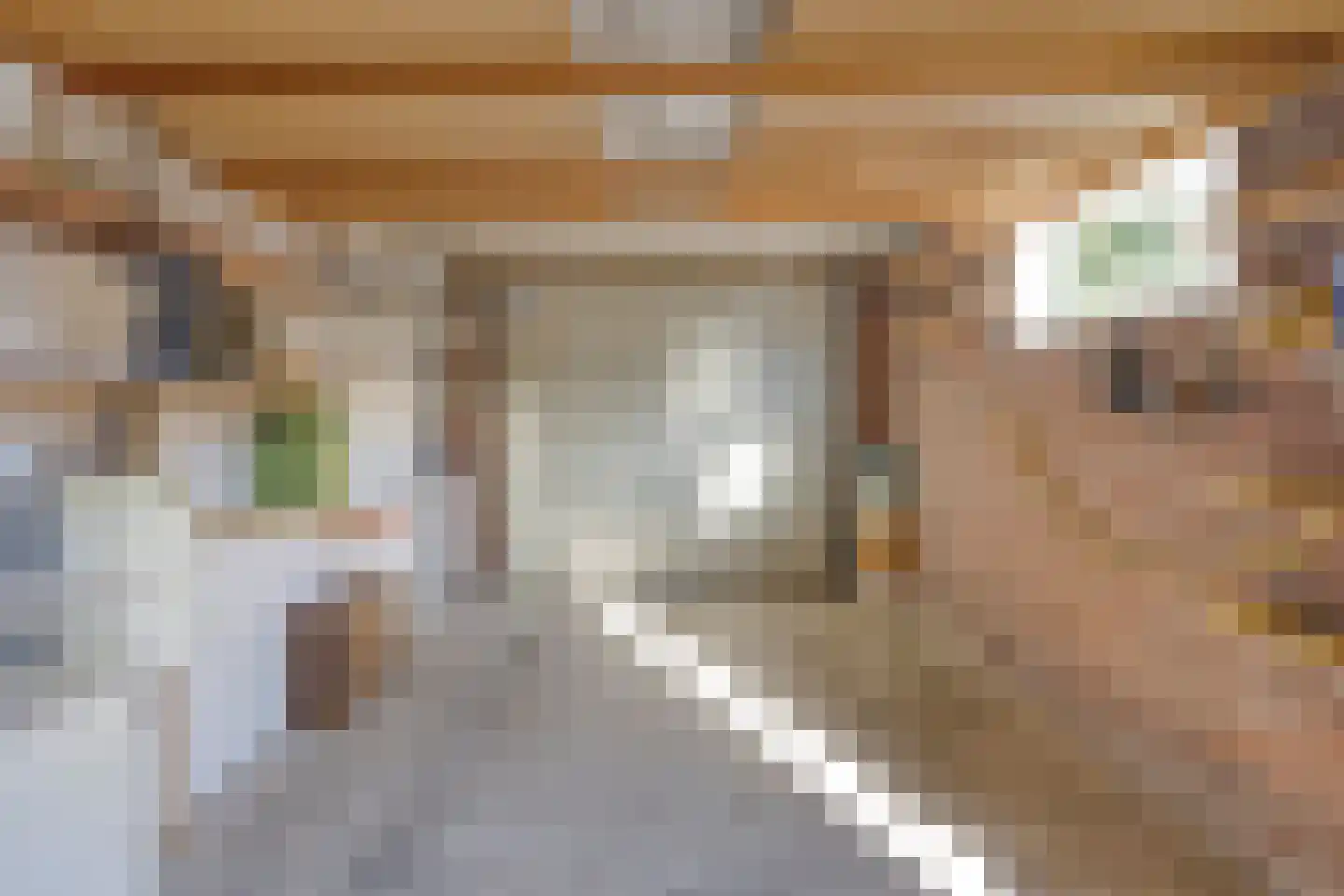 Strodijk 1 Vorden thumbnail 17