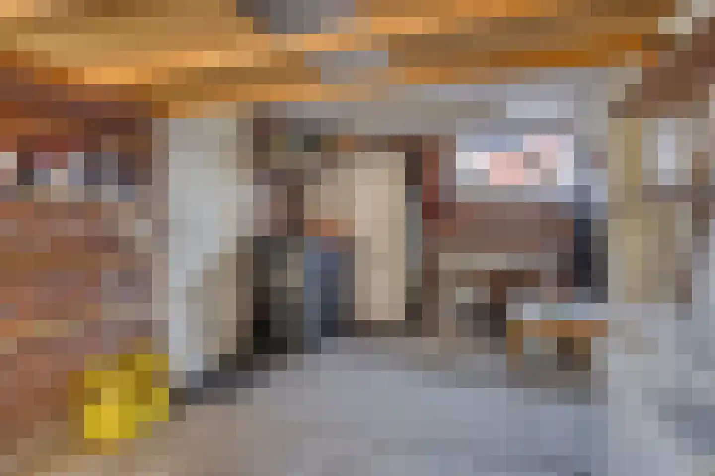 Strodijk 1 Vorden thumbnail 18