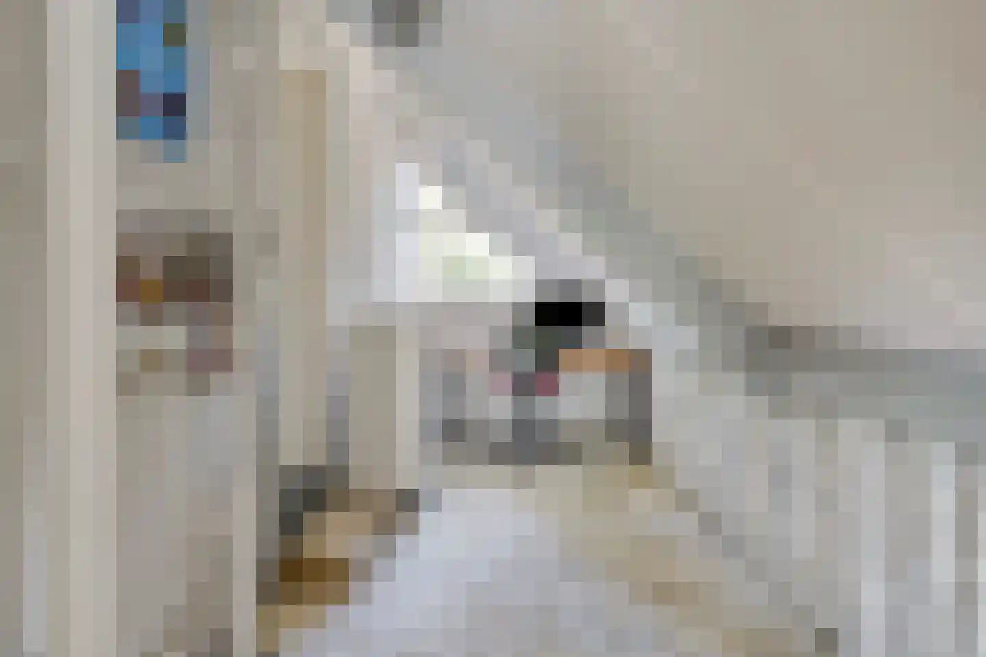 Strodijk 1 Vorden thumbnail 30