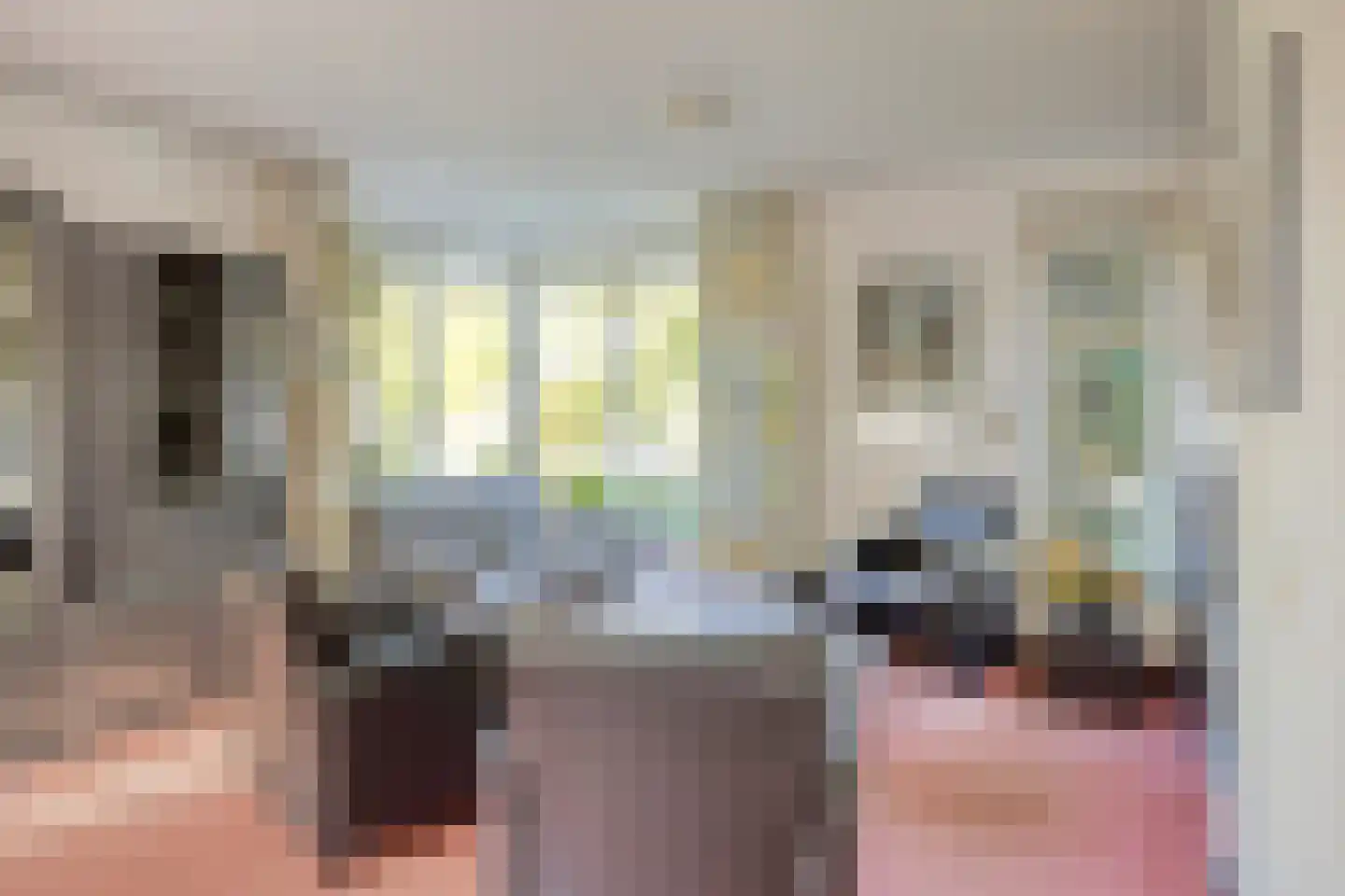 Strodijk 1 Vorden thumbnail 6