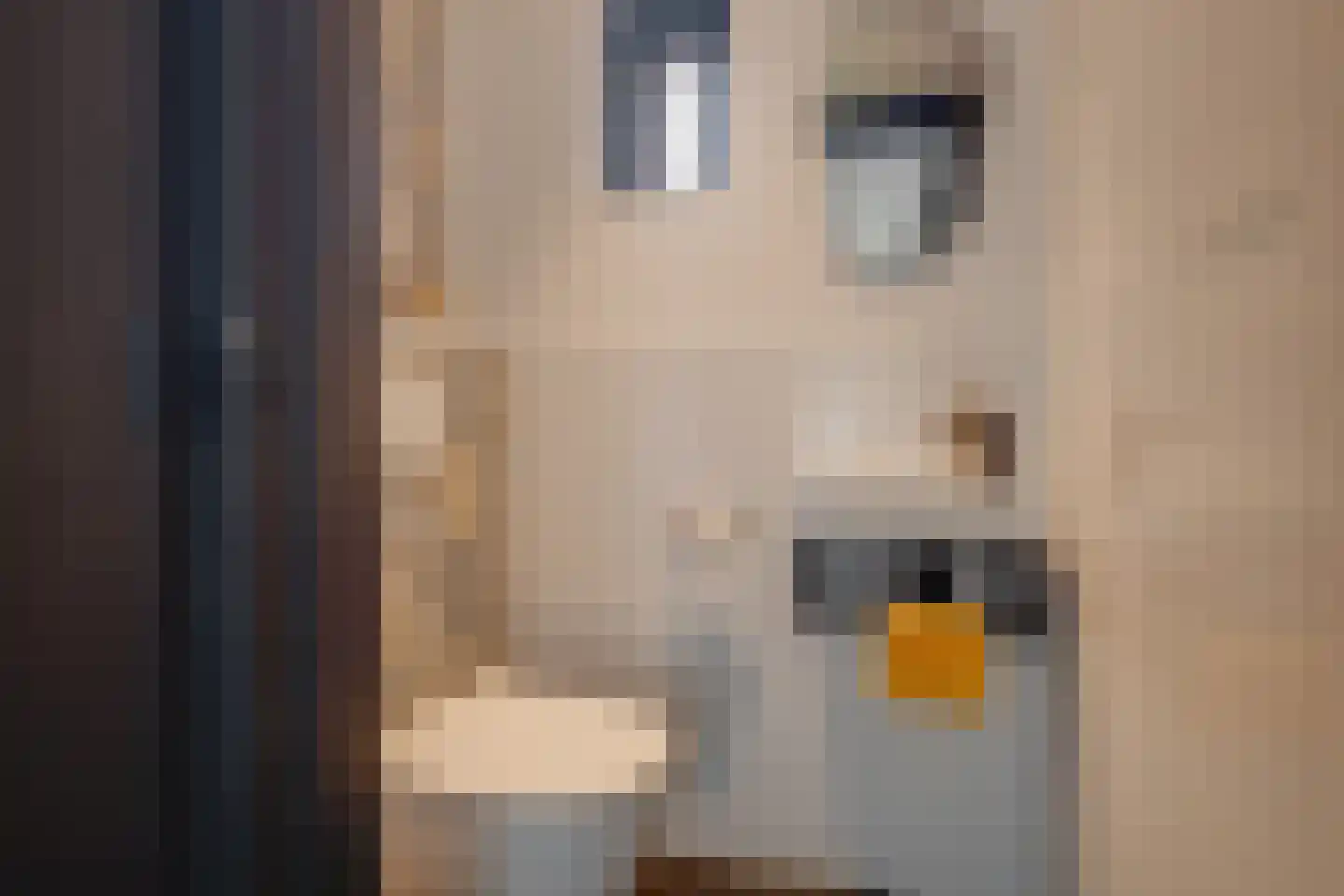 Strodijk 13 Vorden thumbnail 14