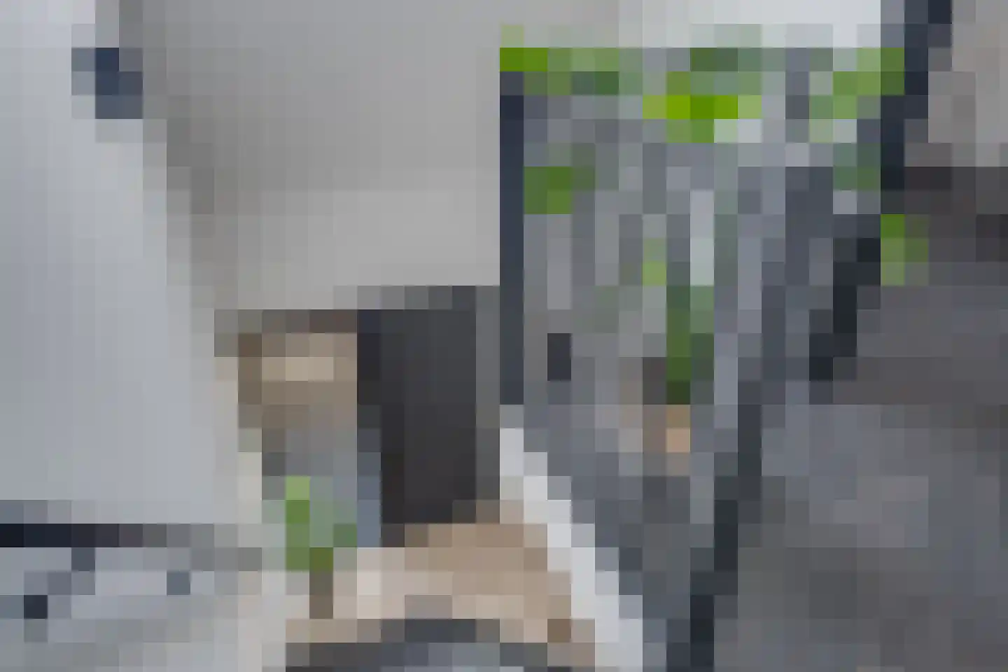 Strodijk 13 Vorden thumbnail 15