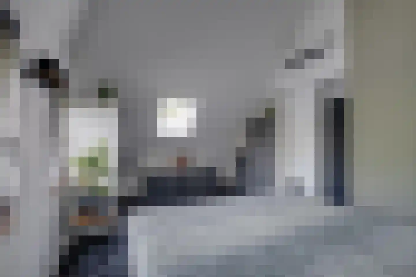 Strodijk 13 Vorden thumbnail 18