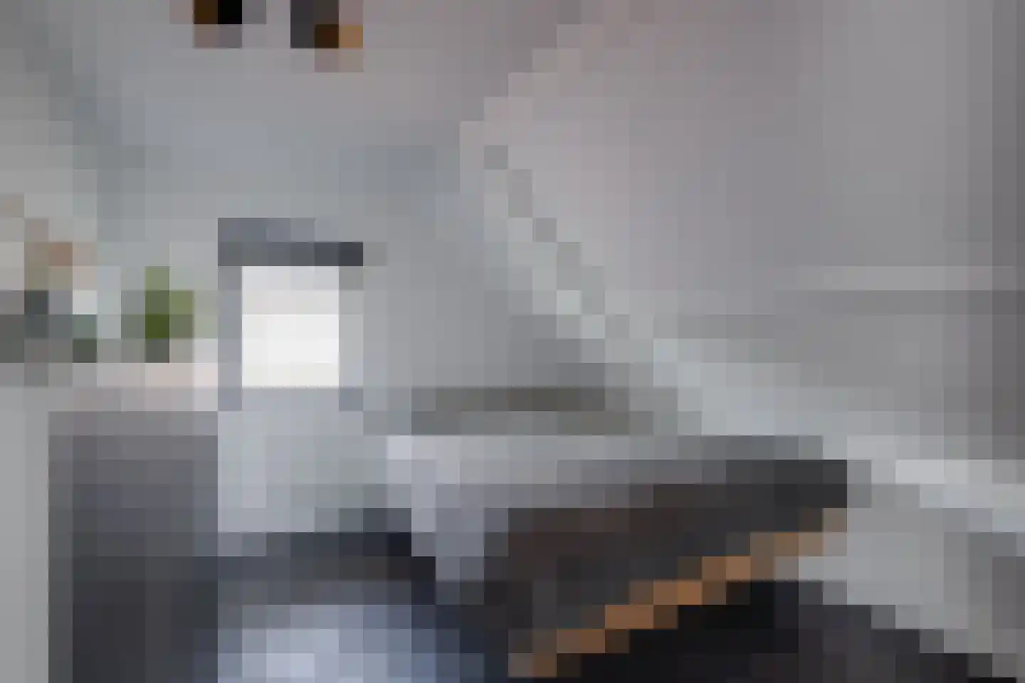 Strodijk 13 Vorden thumbnail 19