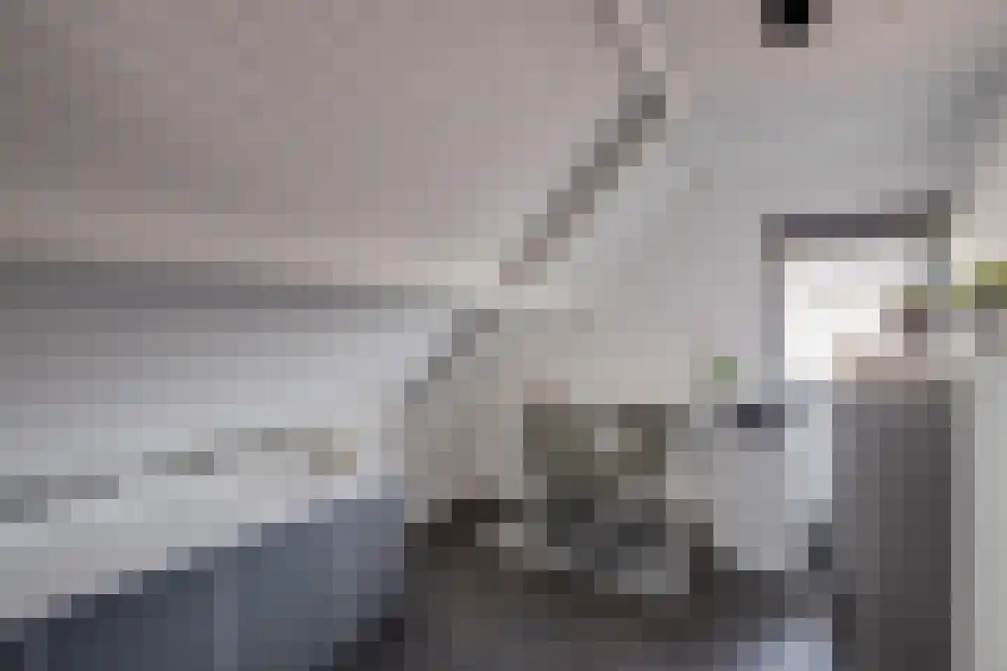 Strodijk 13 Vorden thumbnail 21