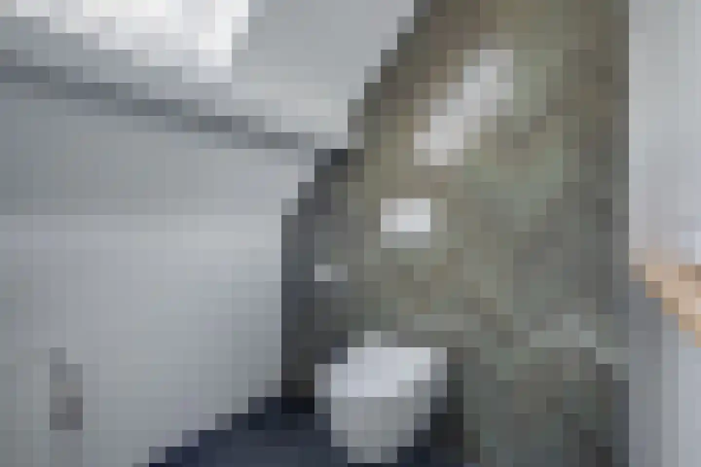 Strodijk 13 Vorden thumbnail 24
