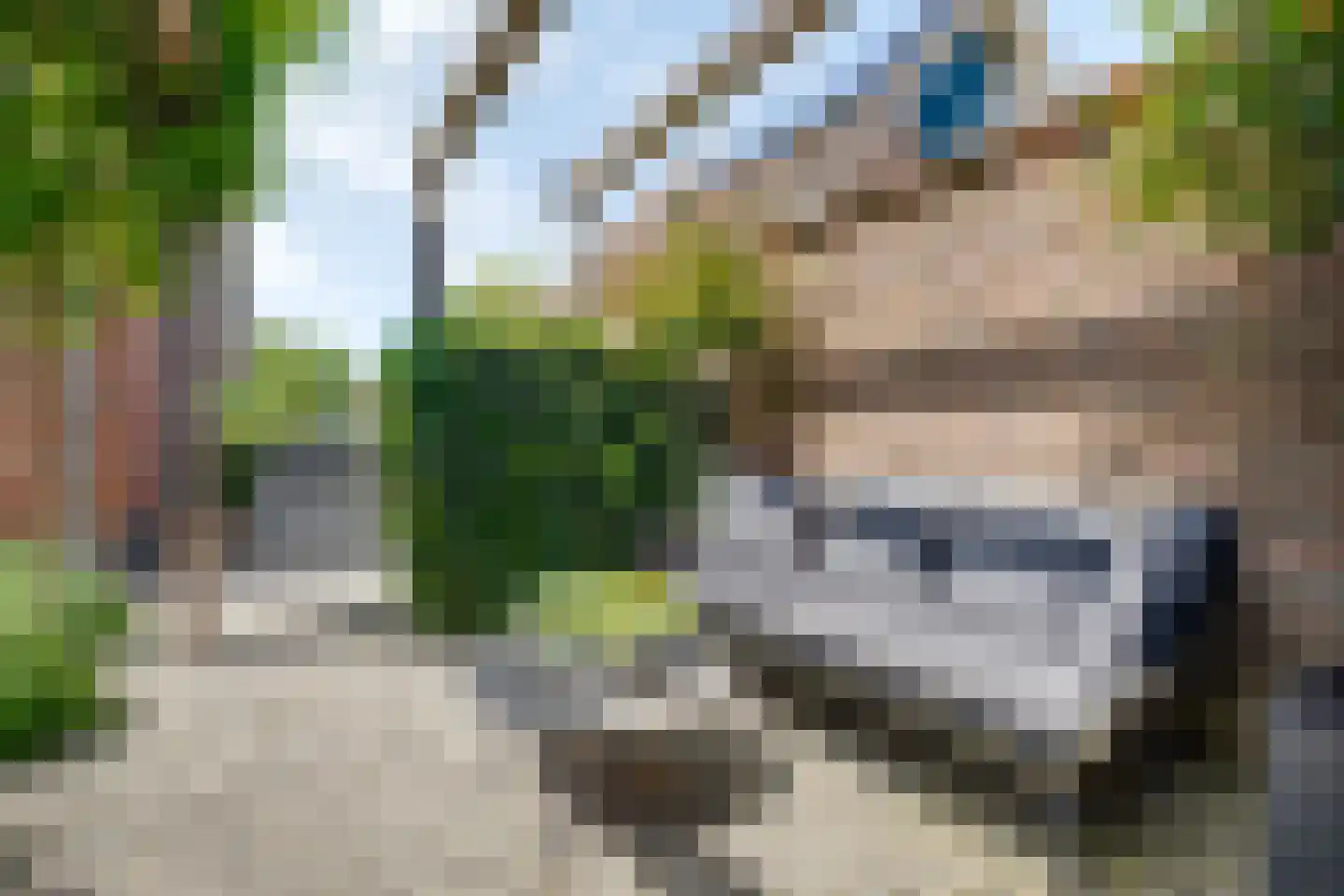 Strodijk 13 Vorden thumbnail 30