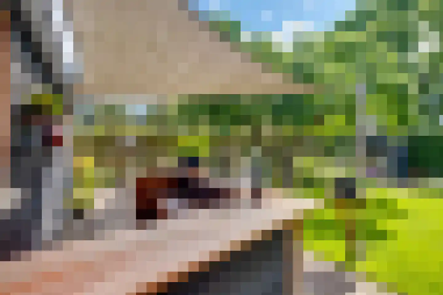 Strodijk 13 Vorden thumbnail 32