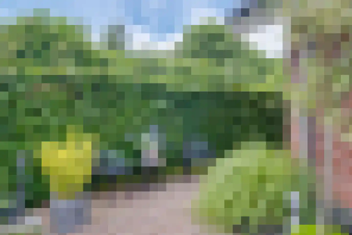 Strodijk 13 Vorden thumbnail 37