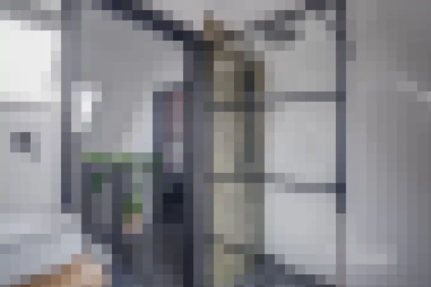 Strodijk 13 Vorden thumbnail 5