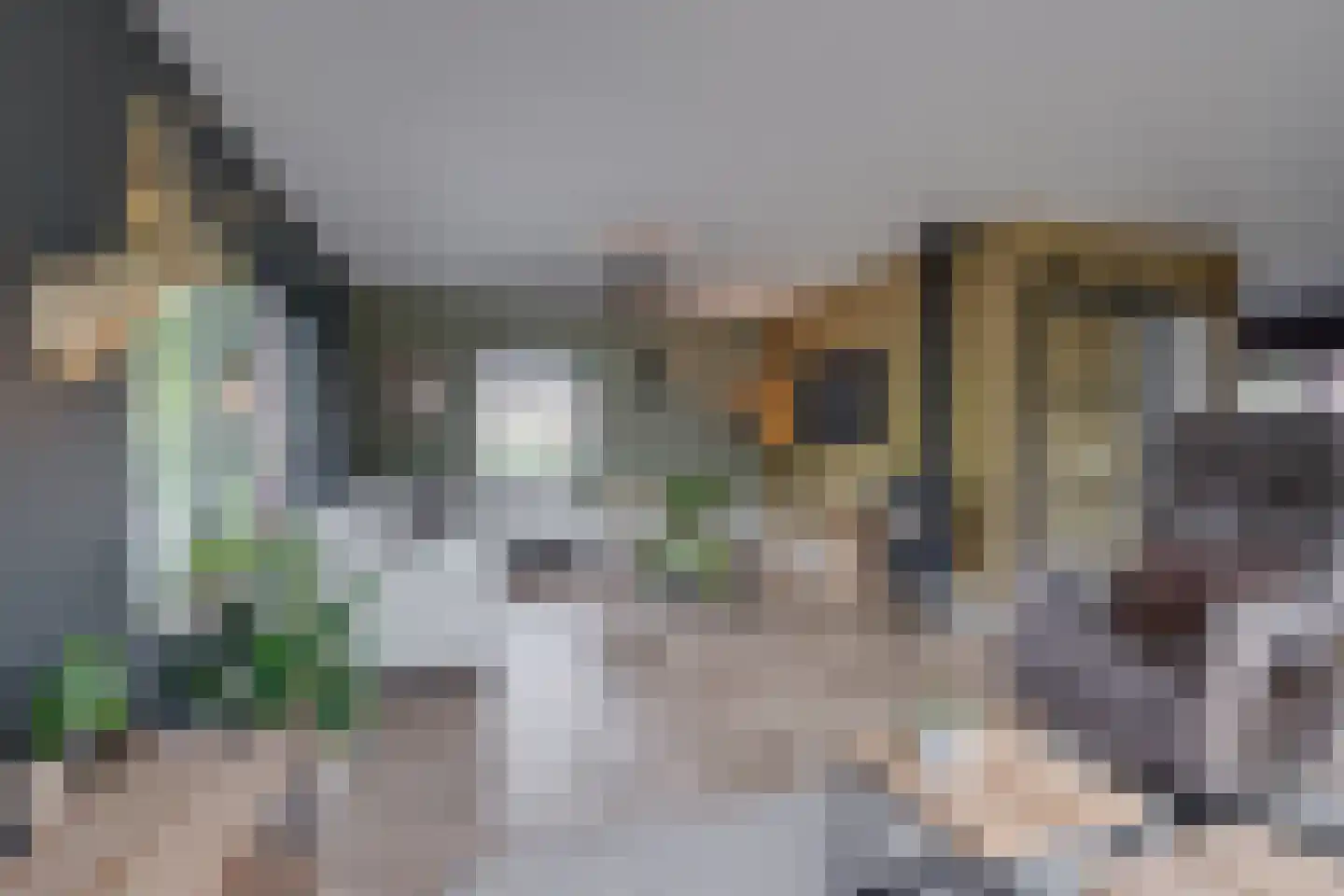 Strodijk 13 Vorden thumbnail 7