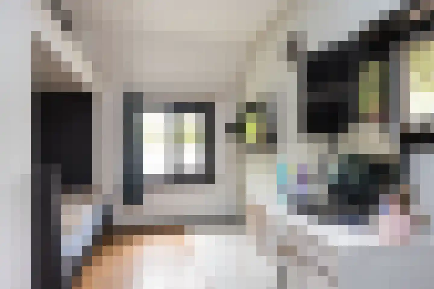 Strodijk 15 Vorden thumbnail 16