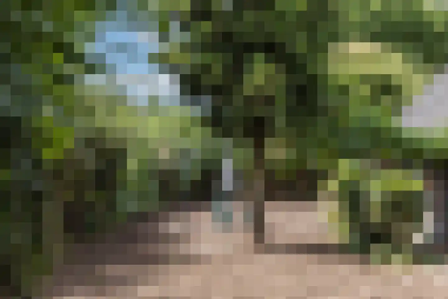 Strodijk 15 Vorden thumbnail 23