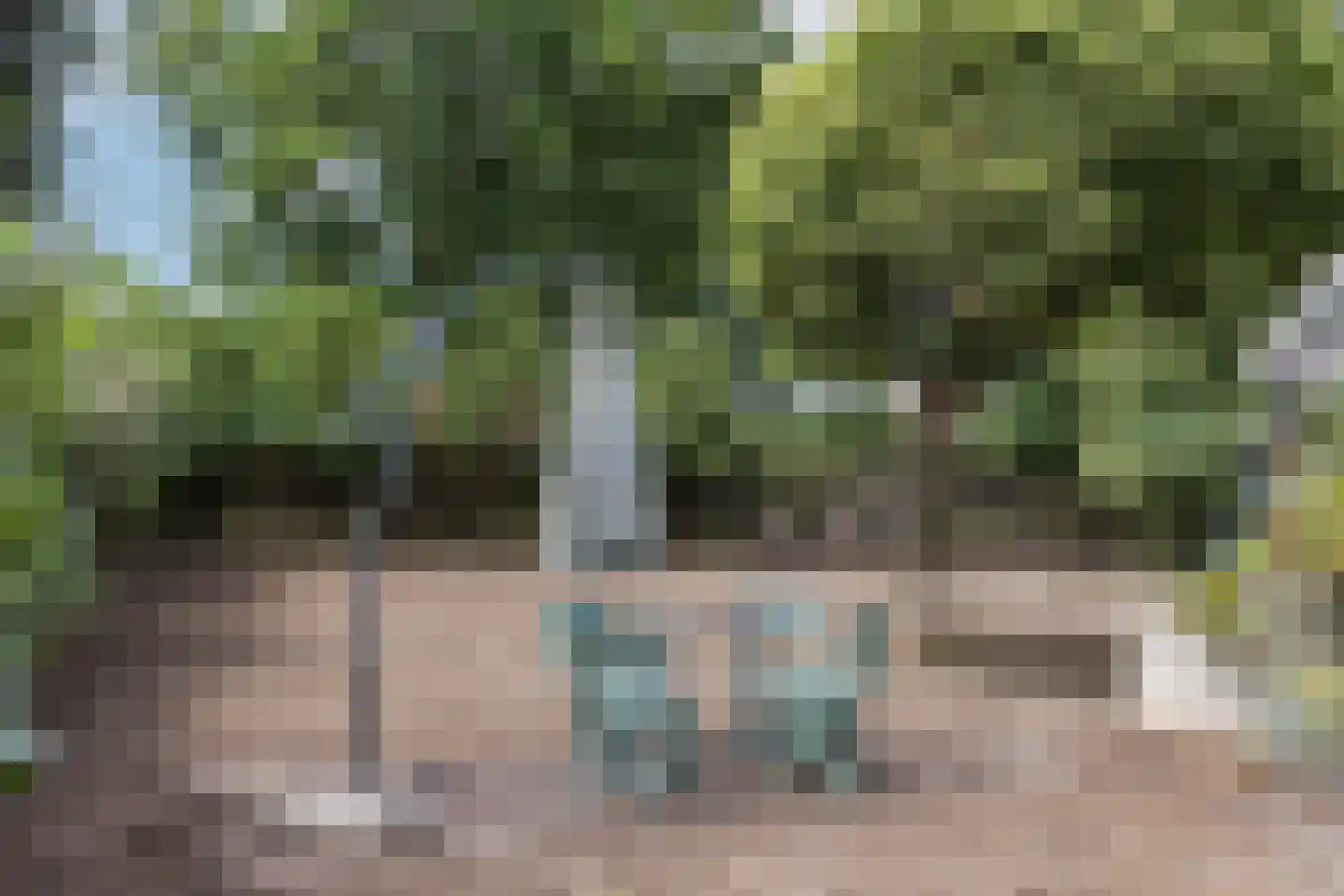 Strodijk 15 Vorden thumbnail 24