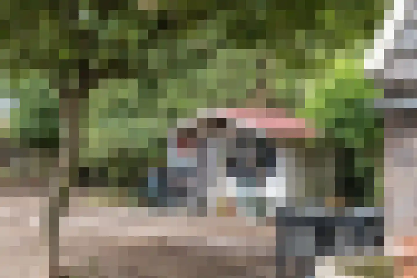 Strodijk 15 Vorden thumbnail 25