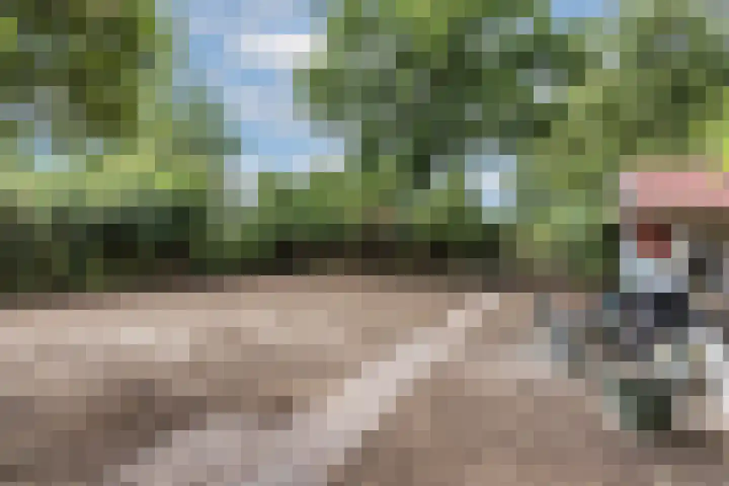 Strodijk 15 Vorden thumbnail 26