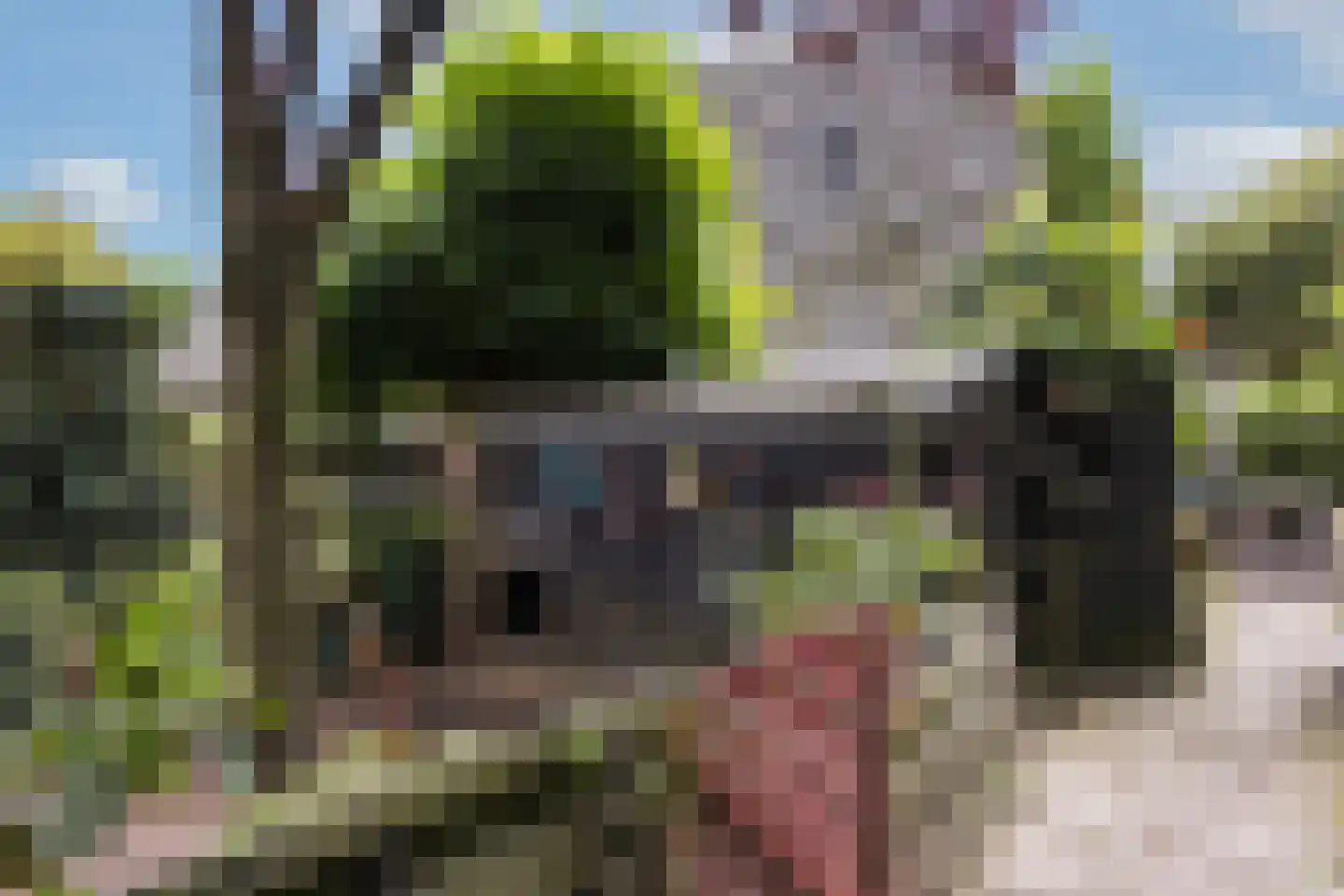 Strodijk 15 Vorden thumbnail 28