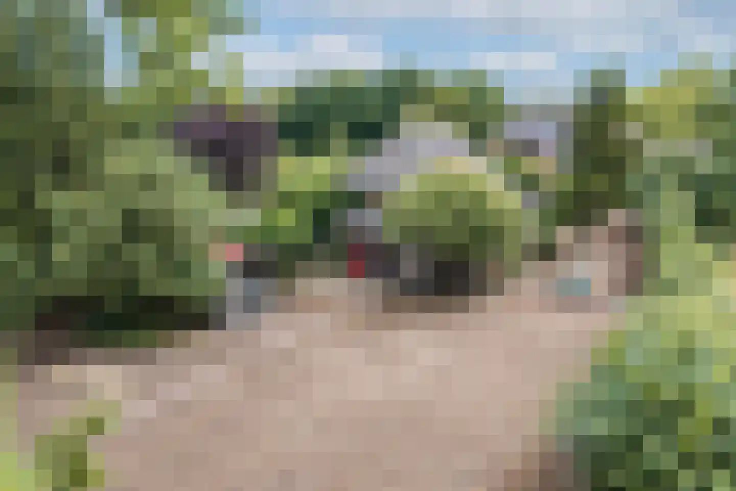 Strodijk 15 Vorden thumbnail 31