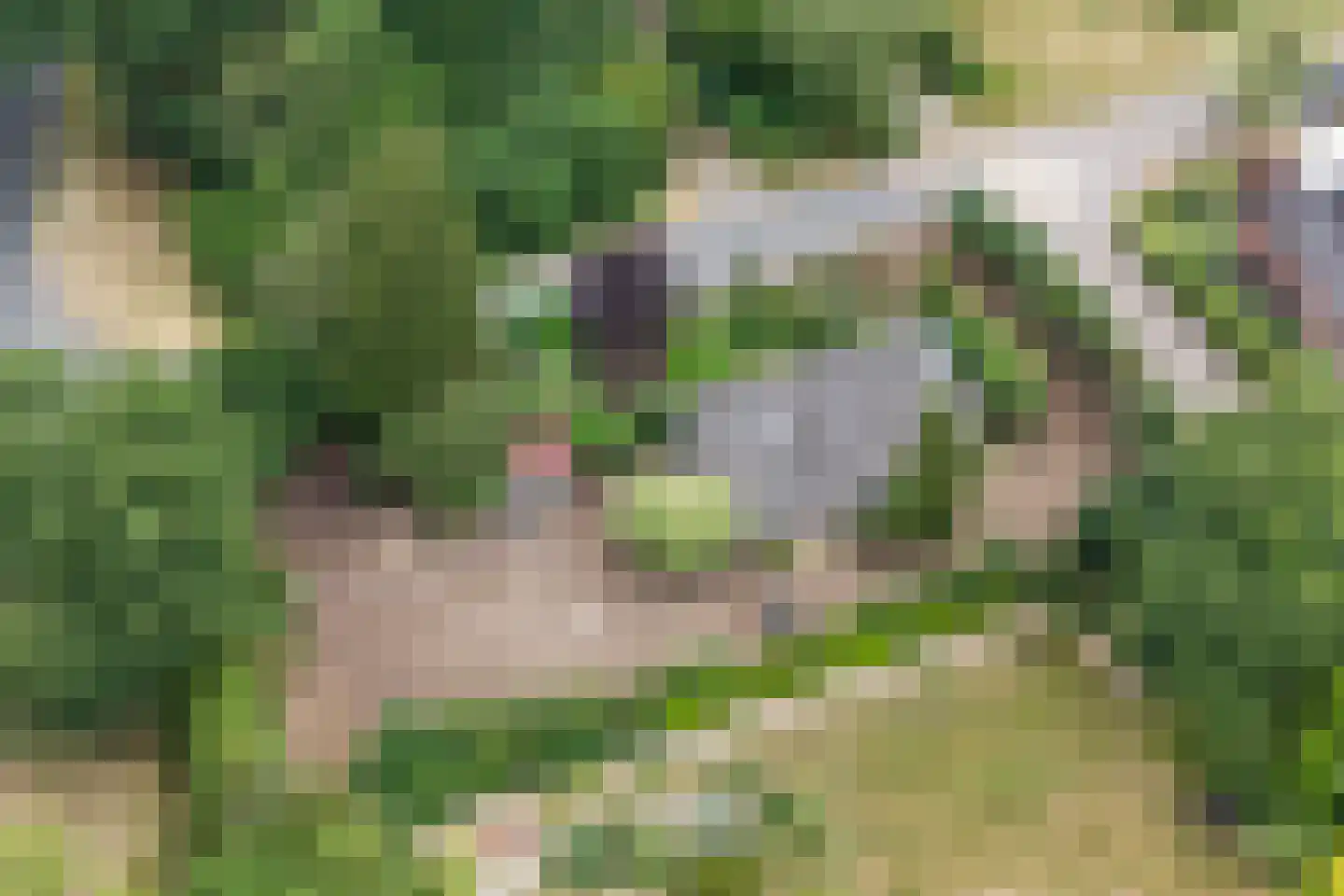 Strodijk 15 Vorden thumbnail 32
