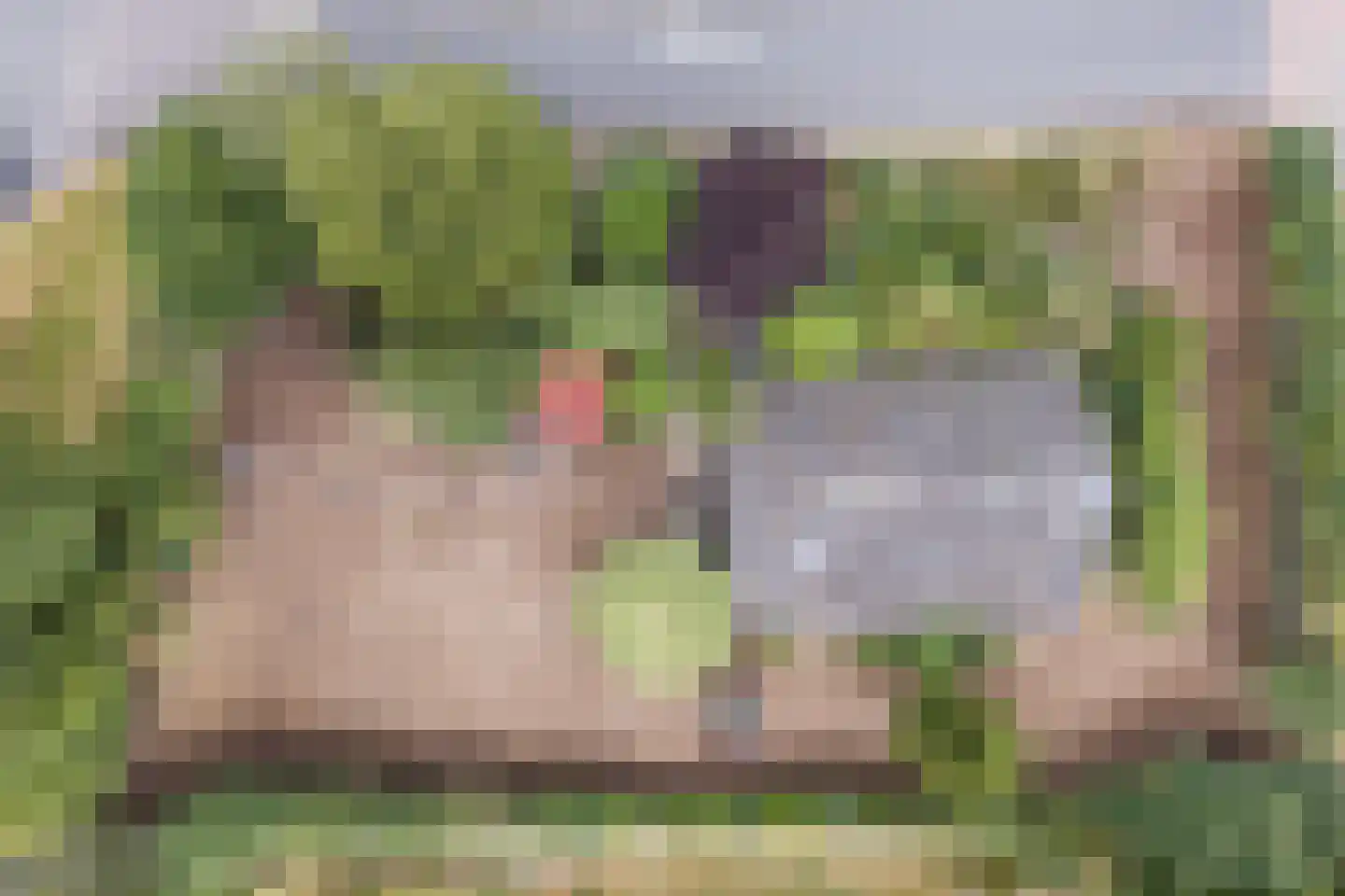 Strodijk 15 Vorden thumbnail 33