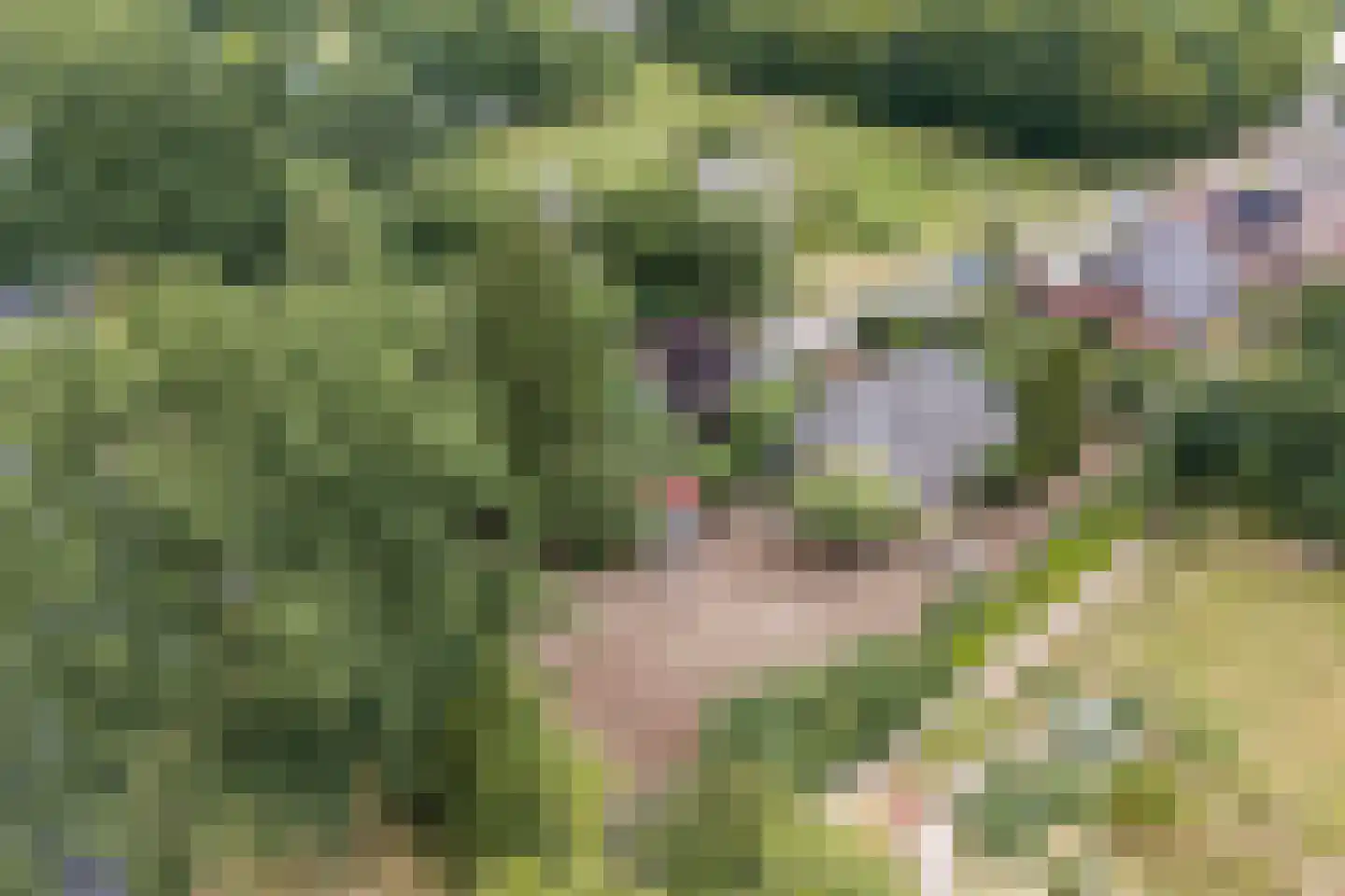 Strodijk 15 Vorden thumbnail 34