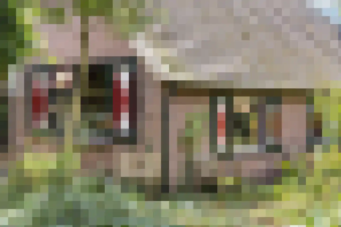 Strodijk 15 Vorden thumbnail 5
