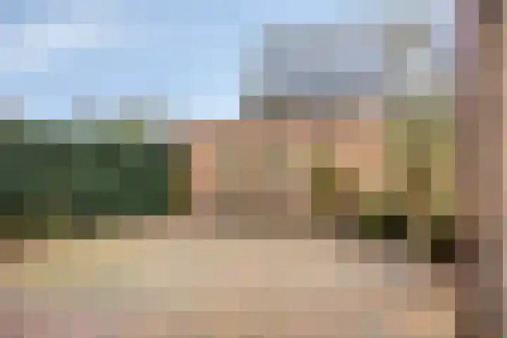 Strodorpsweg 4 Oosterbeek thumbnail 27