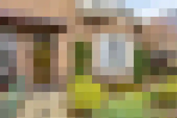 Strodorpsweg 4 Oosterbeek thumbnail 5