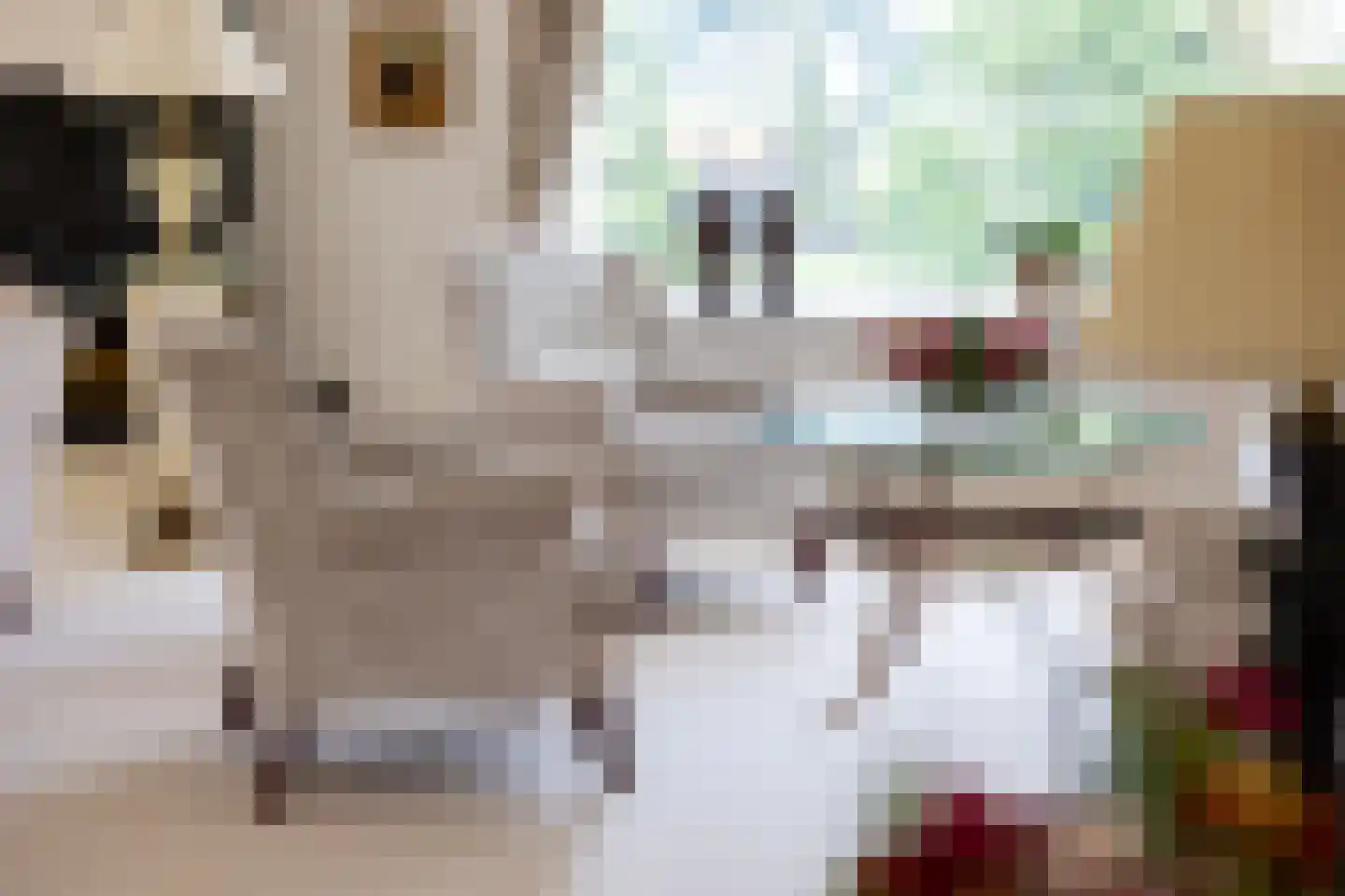 Stroe Allee 2 Harskamp thumbnail 10