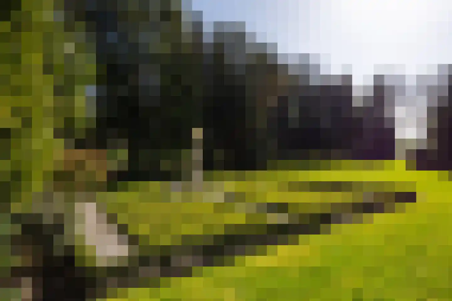 Stroe Allee 2 Harskamp thumbnail 36