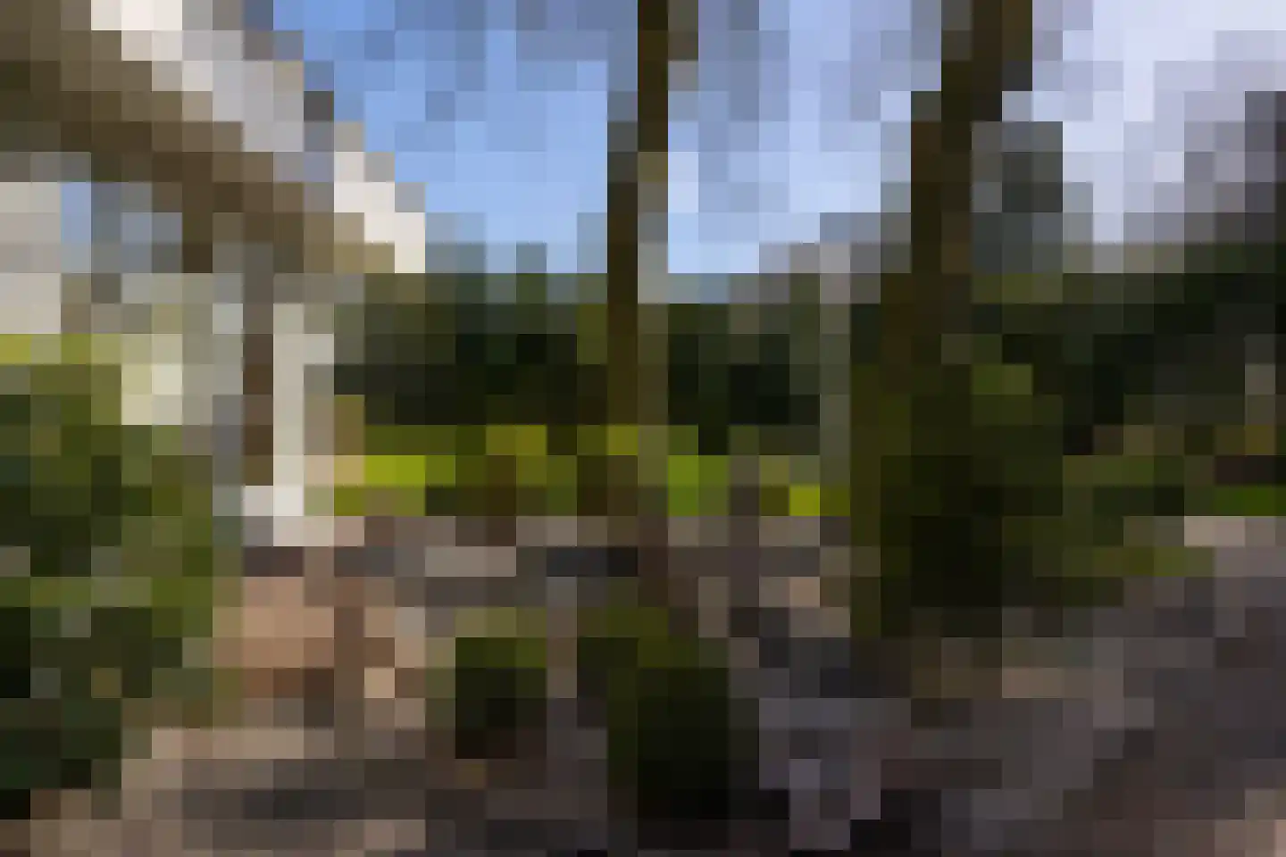 Stroe Allee 2 Harskamp thumbnail 38