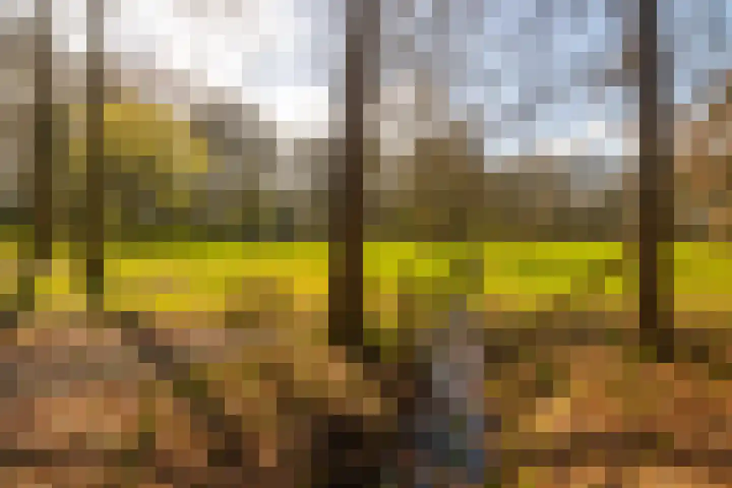 Stroe Allee 2 Harskamp thumbnail 4