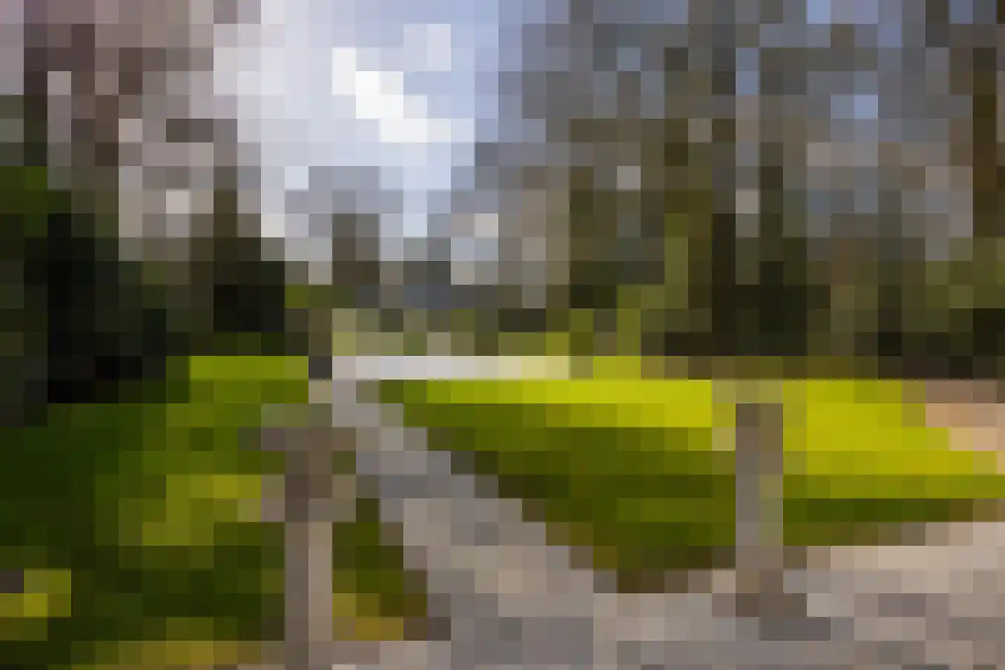 Stroe Allee 2 Harskamp thumbnail 42