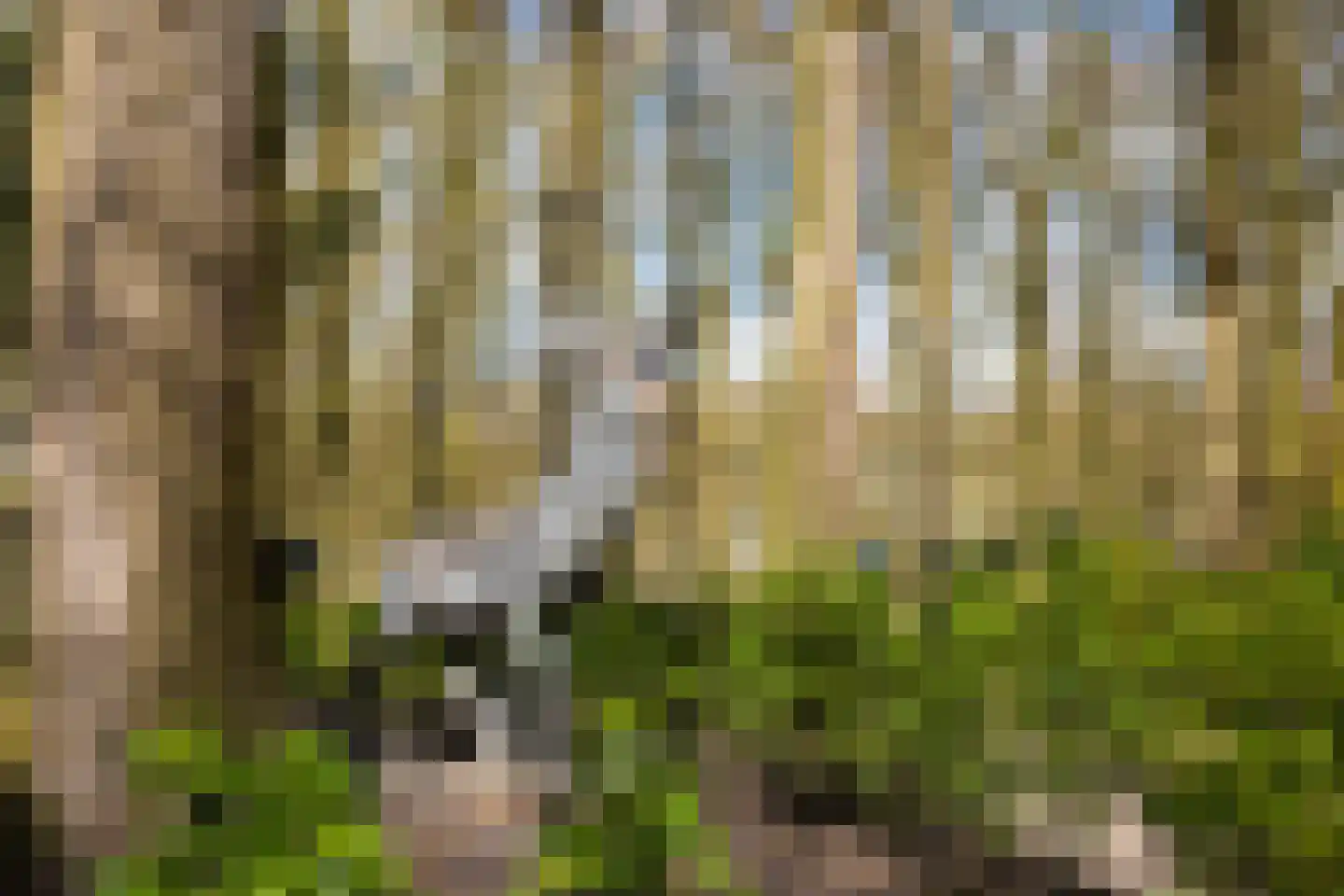 Stroe Allee 2 Harskamp thumbnail 49