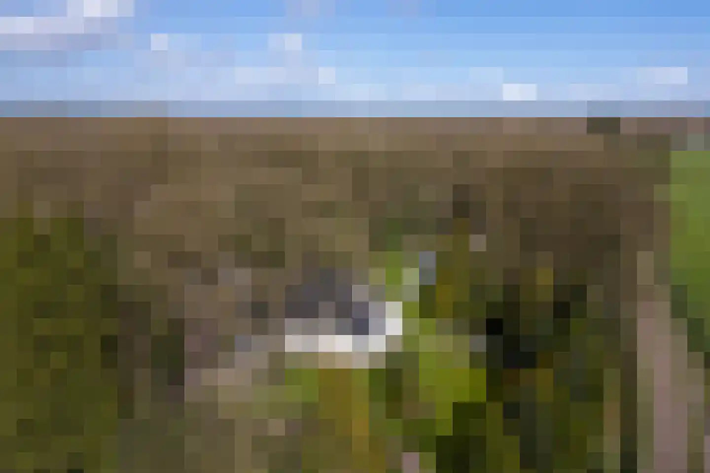 Stroe Allee 2 Harskamp thumbnail 5