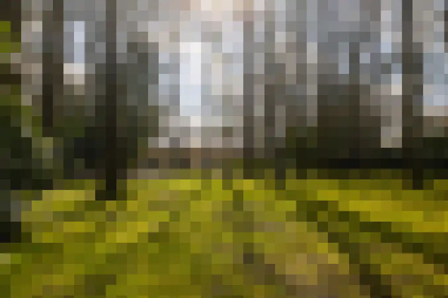 Stroe Allee 2 Harskamp thumbnail 50