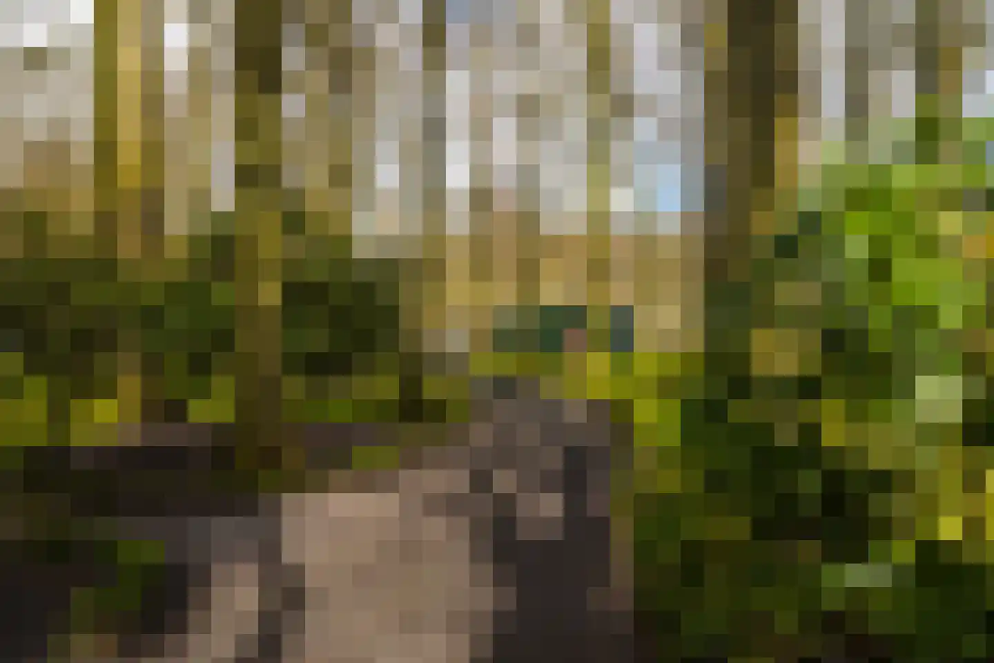 Stroe Allee 2 Harskamp thumbnail 51