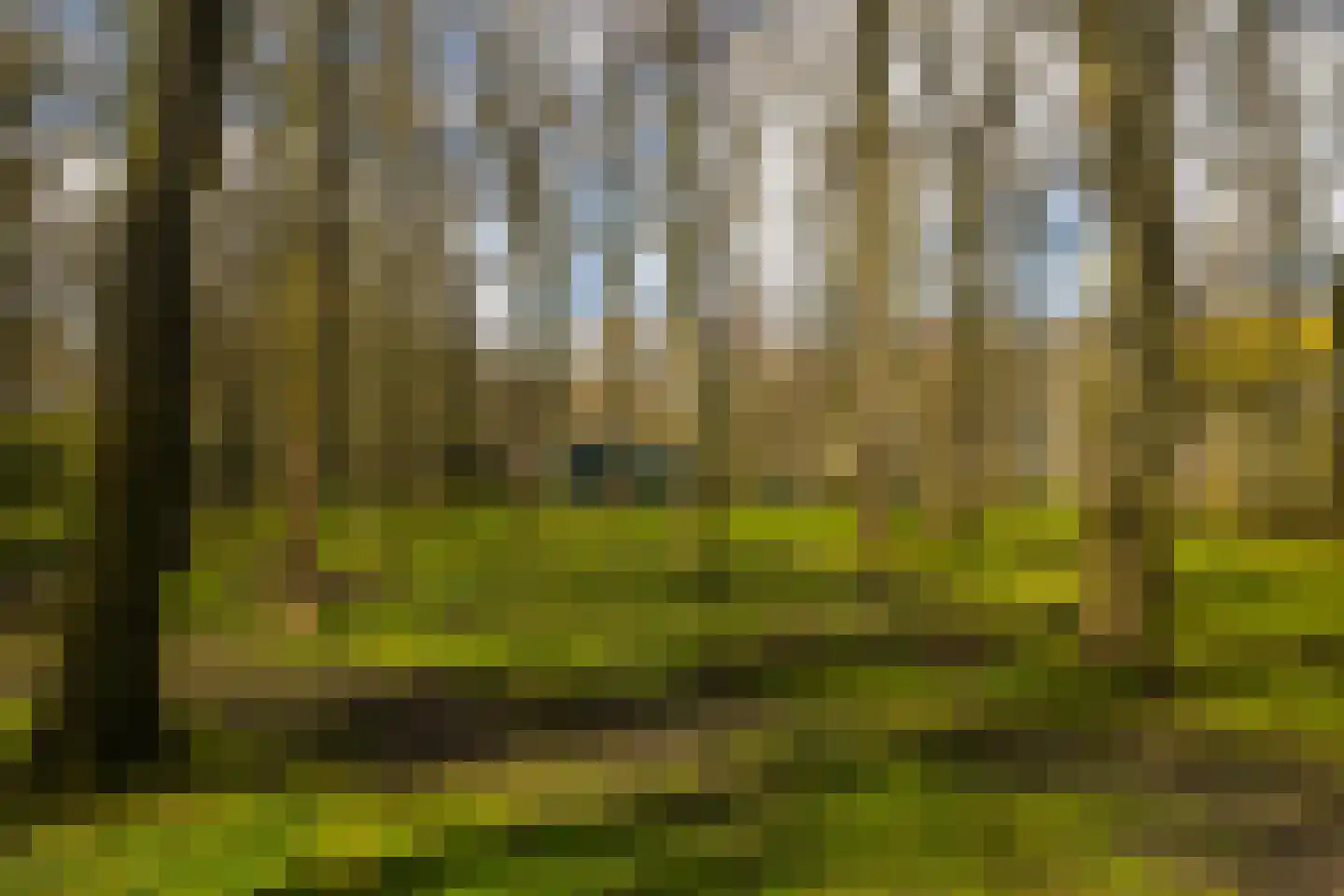 Stroe Allee 2 Harskamp thumbnail 52
