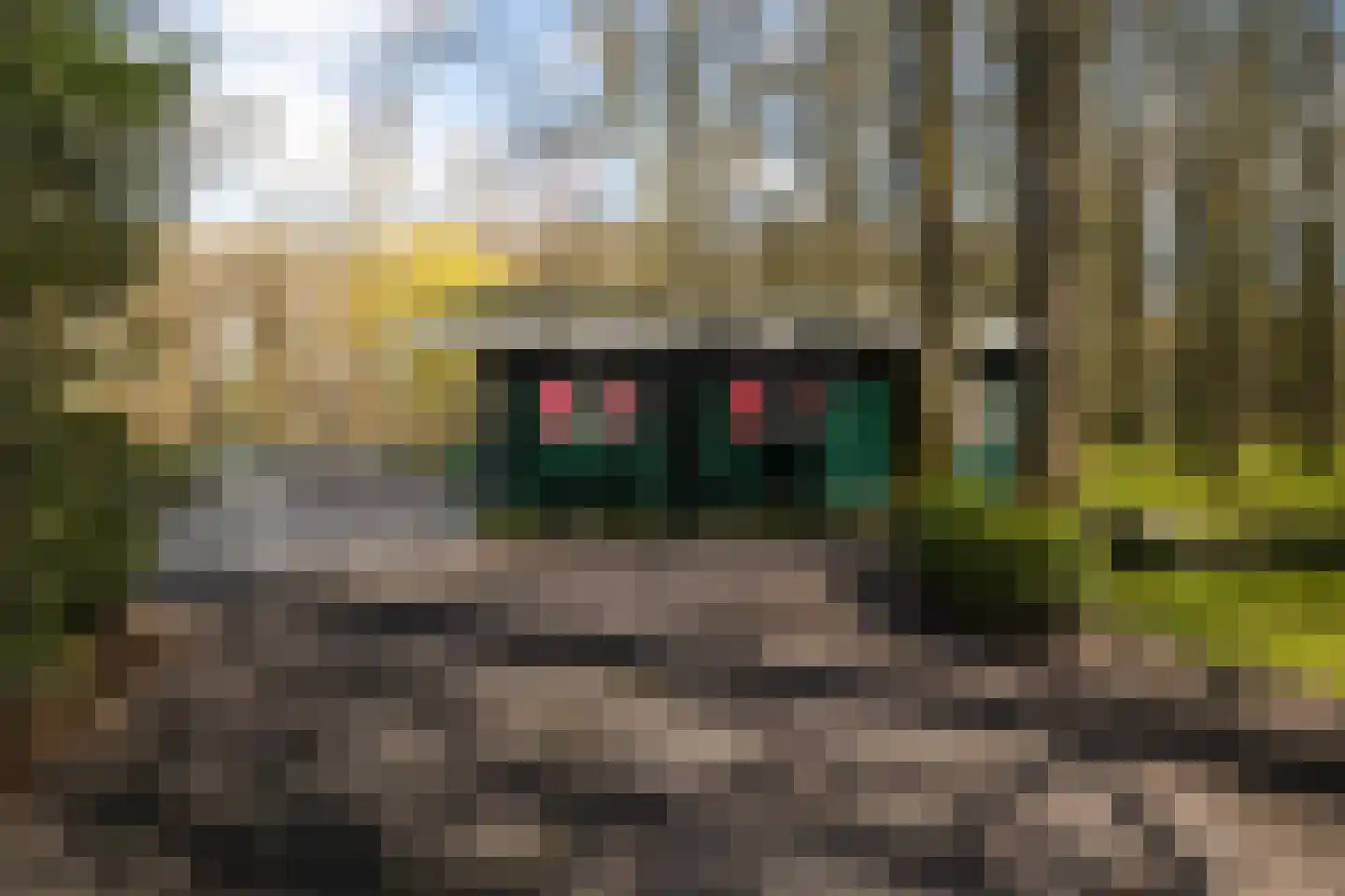 Stroe Allee 2 Harskamp thumbnail 53