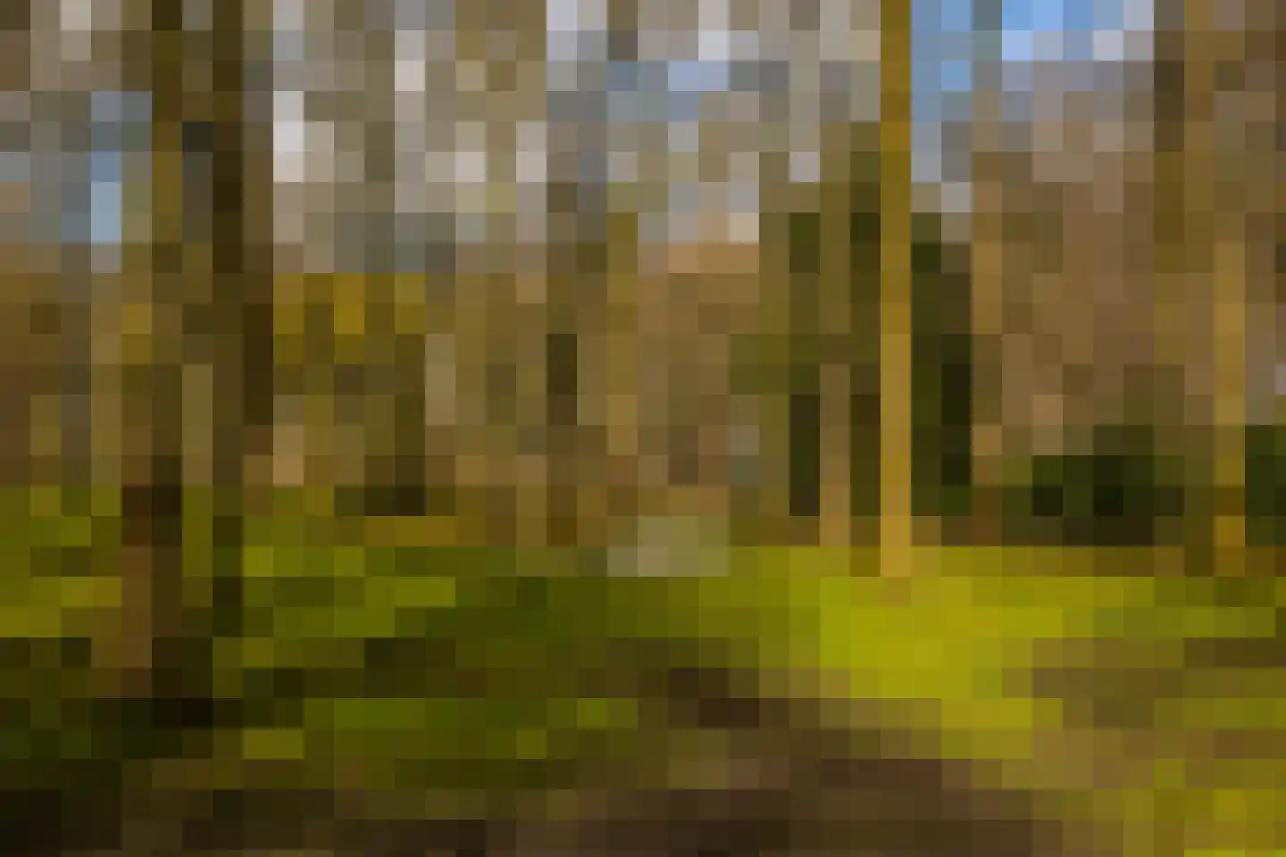 Stroe Allee 2 Harskamp thumbnail 57