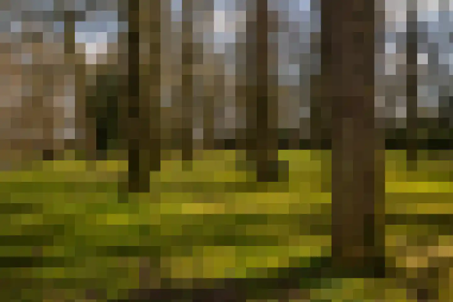 Stroe Allee 2 Harskamp thumbnail 58
