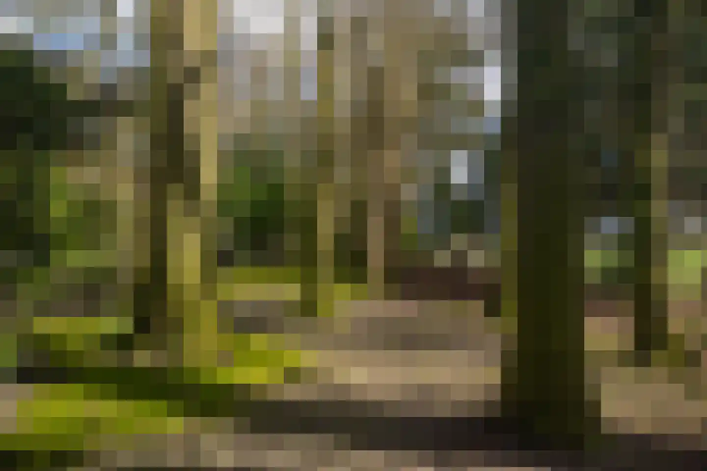 Stroe Allee 2 Harskamp thumbnail 59