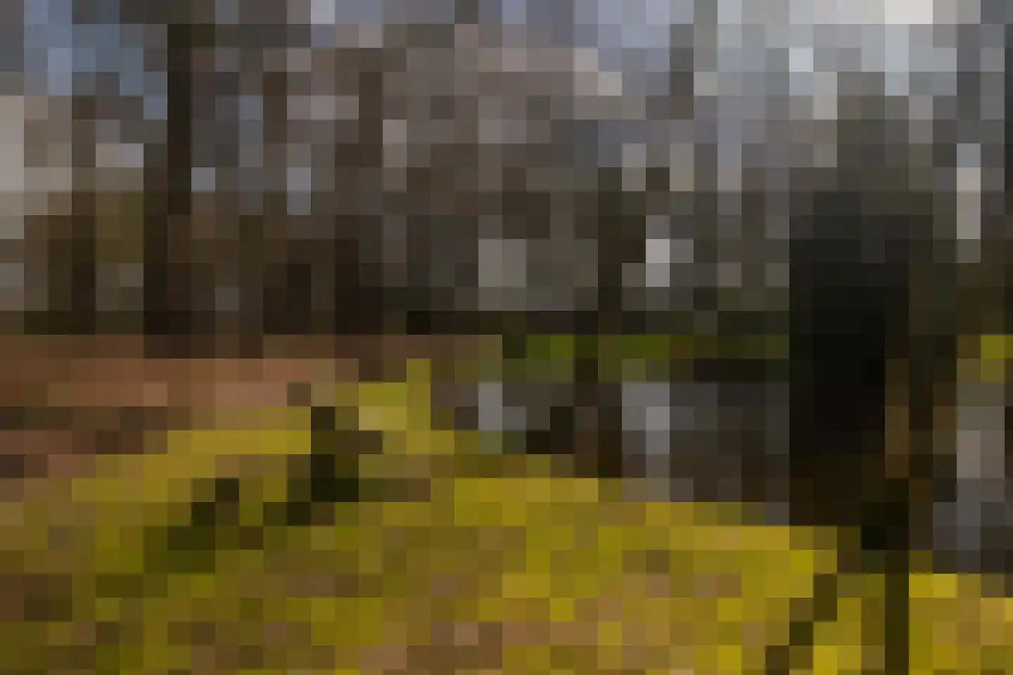 Stroe Allee 2 Harskamp thumbnail 62