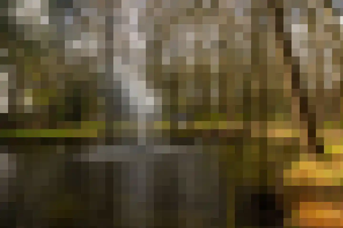 Stroe Allee 2 Harskamp thumbnail 63