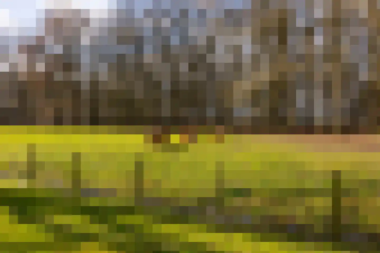 Stroe Allee 2 Harskamp thumbnail 65