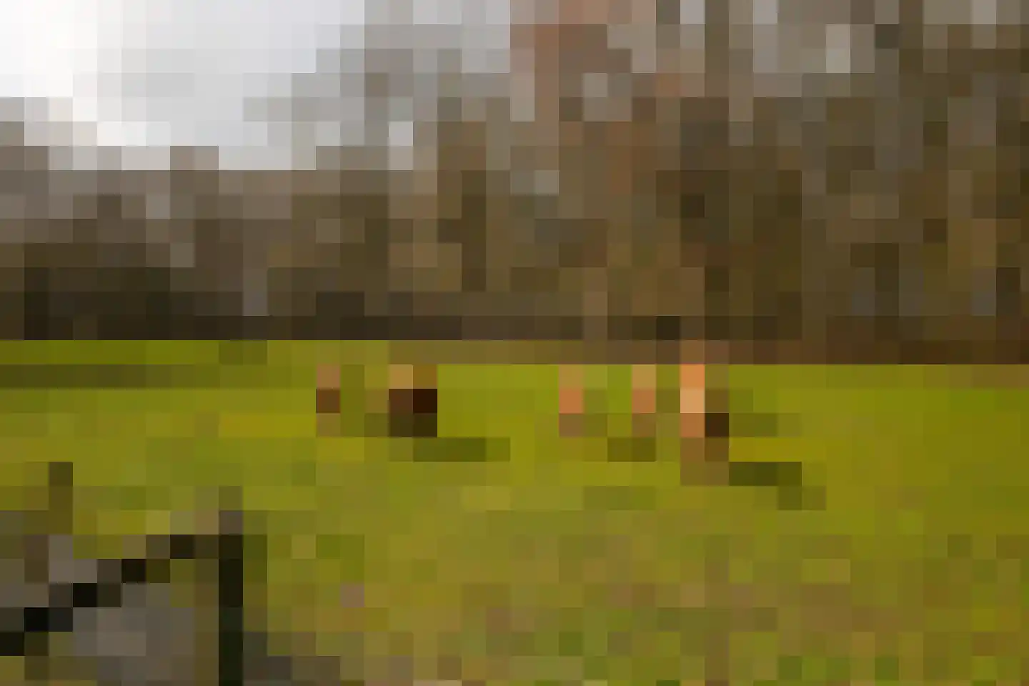 Stroe Allee 2 Harskamp thumbnail 66