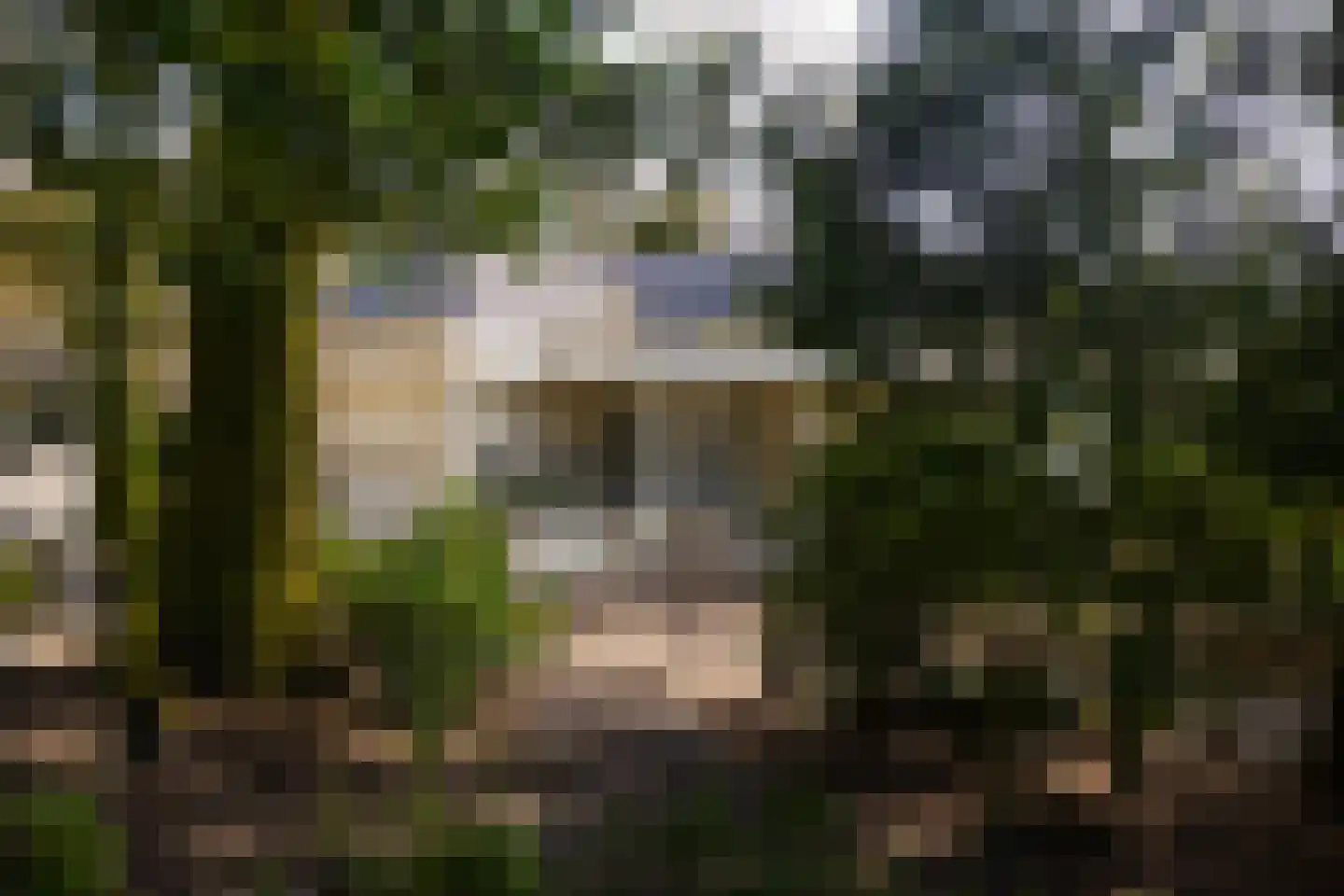 Stroe Allee 2 Harskamp thumbnail 7