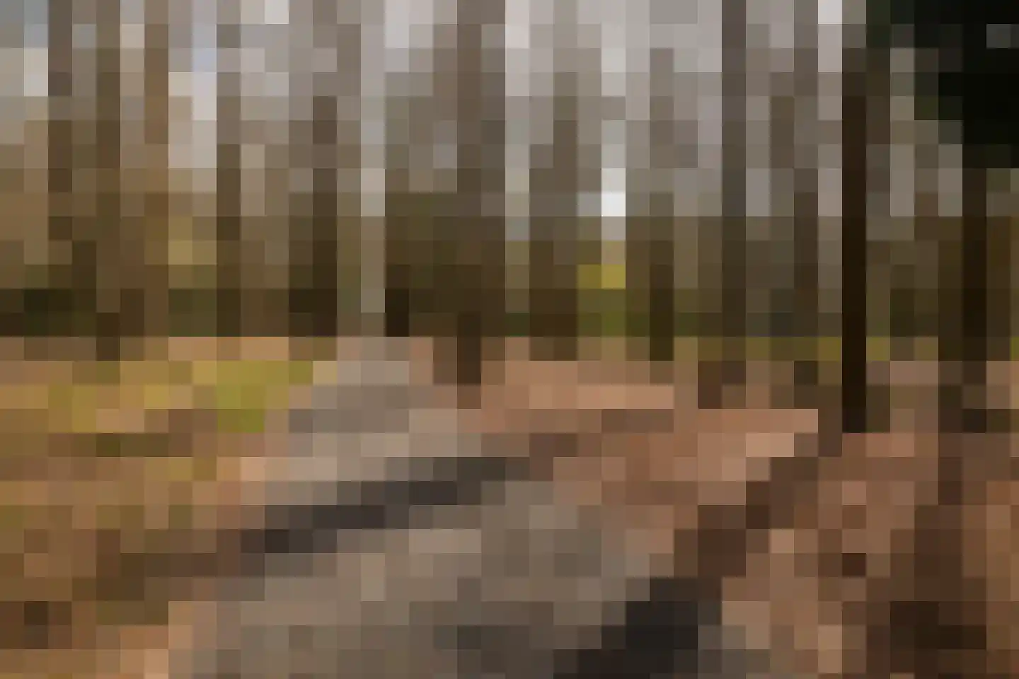 Stroe Allee 2 Harskamp thumbnail 70
