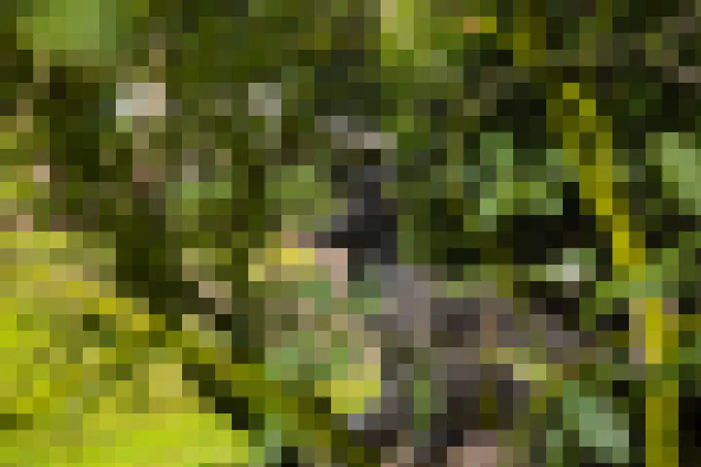 Stroe Allee 2 Harskamp thumbnail 71